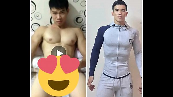 trai bao Viet  chất lượng