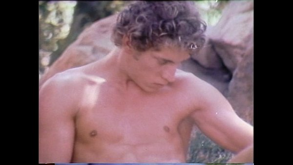 VCA Gay – LA Tool